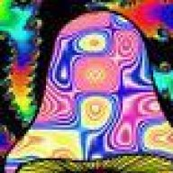 shroomhead