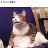 Couchlock