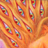 flippinhippie